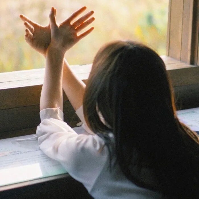 白山茶与黑月光